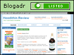 Hoodithin Review - The Truth About Hoodithin