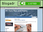 RC Cars Tips and Tricks from Champions