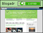 Free wallpapers - Sfondi desktop gratuiti - Cats photo - Kitten Photo - Pets photo - Landscape