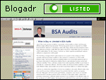 BSA Audits