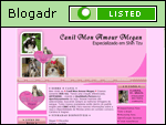 ♥ CANIL MON AMOUR MEGAN ♥ SHIH TZU ♥ Filhotes Disponveis ♥