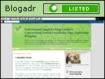 Professional Linguist's Blog: Creative Copywriting, Useful Translation Tips, Explaining Blogging