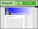 Blogul lui Teacă