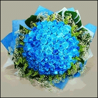 99 Blue Roses Bouquet (kindly Order 2 Days Advance Or Call Us)  BF298