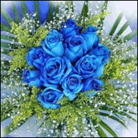 12 Blue Roses Hand Bouquet.  BF301