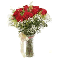 12 Red Roses With Glass Vase  BF589