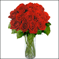 12 Red Long Stem Roses