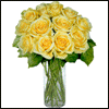 12 Yellow Long Stem Roses