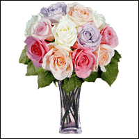 12 Pastel Long Stem Roses