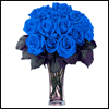 12 Blue Roses