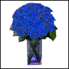 18 Blue Roses