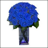 18 Blue Roses