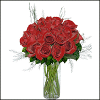18 Red Mini Roses