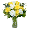 12 Yellow & White Designer Long Stem Roses