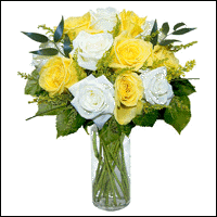 12 Yellow & White Designer Long Stem Roses