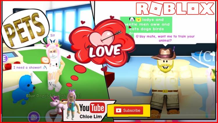 New All Adopt Me Codes 2019 New Pets Update Roblox Youtube Free