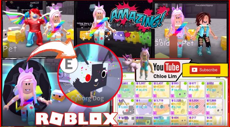 Roblox Pet Simulator Gamelog August 30 2018 Free Blog Directory - roblox code dog simulator